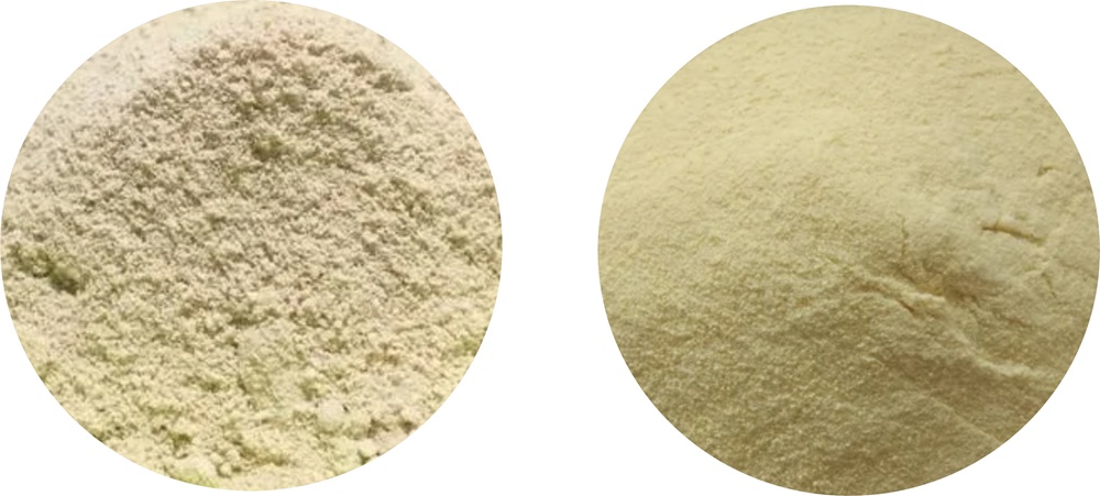 Amino Acid