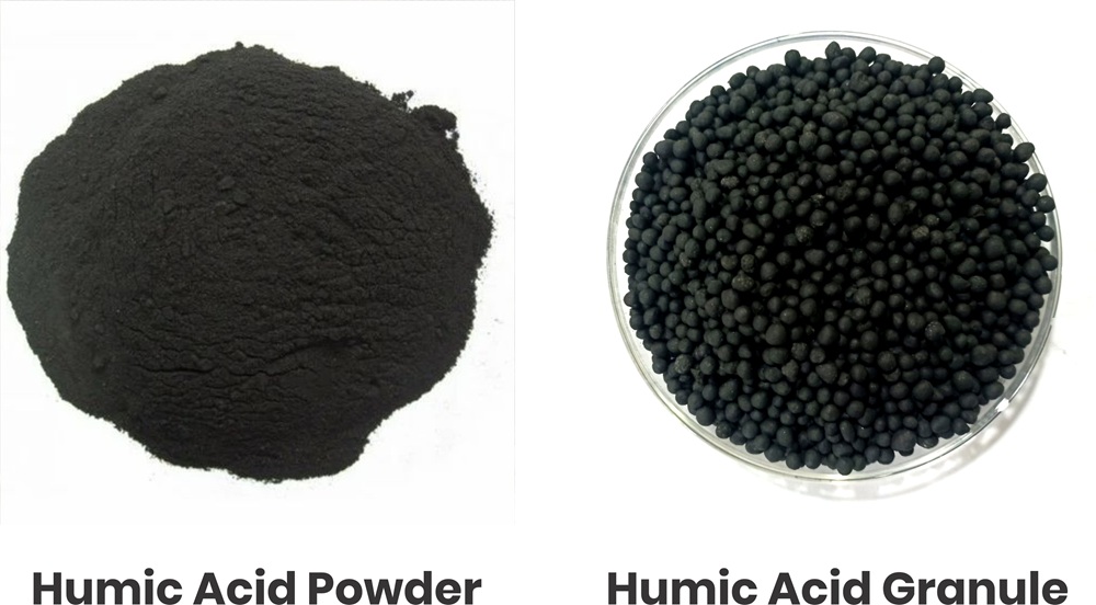 Humic Acid
